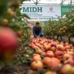 🍎 Mission for Integrated Development of Horticulture (MIDH): बागवानी से बढ़ती आमदनी की राष्ट्रीय मुहिम | Farming Acre