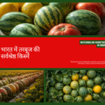 भारत के विभिन्न भागों में तरबूज के बीज की बेस्ट वैरायटी