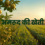 भारत में अमरूद की बेहतरीन किस्में और खेती – पूरी जानकारी हिंदी में